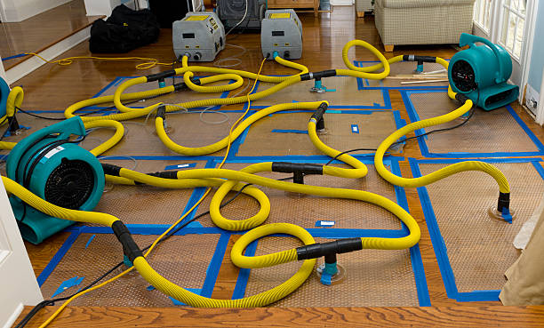 Professional Water Extraction technician working in Truckee, CA